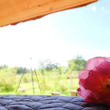 Shelter I Sansehave Luxury tent *