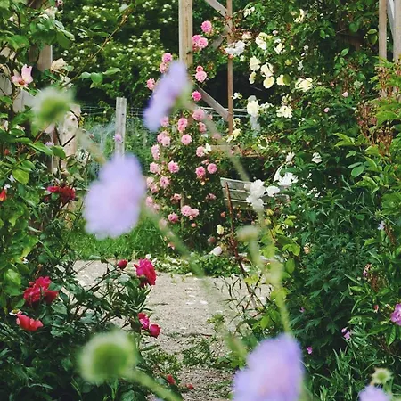 Luxury tent Shelter I Sansehave Praesto