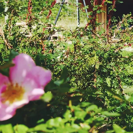 Shelter I Sansehave Luxury tent