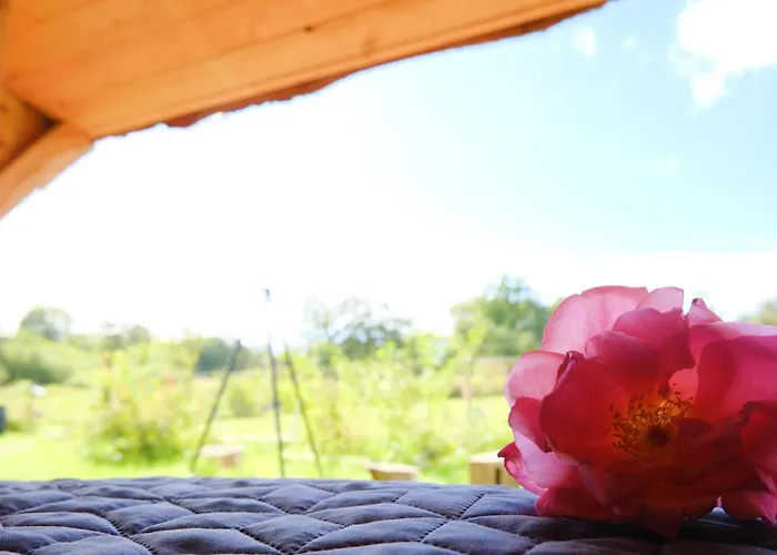 Shelter I Sansehave Luxury tent *