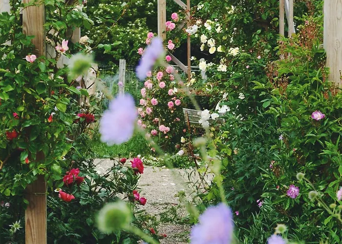 Luxury tent Shelter I Sansehave Praesto