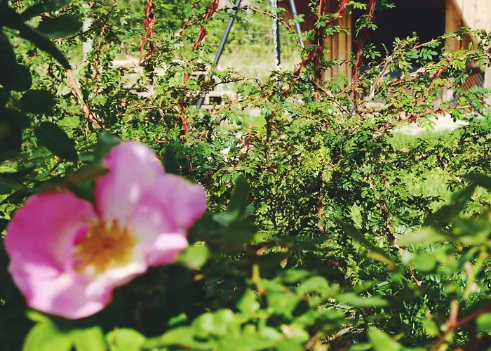 Shelter I Sansehave Luxury tent